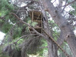 Ladys house on the beach