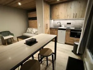 Appartement vue imprenable montagne