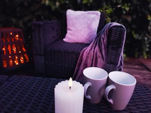 Les lauriers roses & sa piscine privative