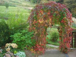 Lauras - Landhauspension