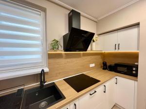 Central Loft Mimozelor