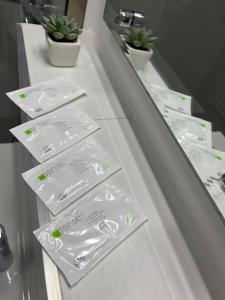 Central Loft Mimozelor