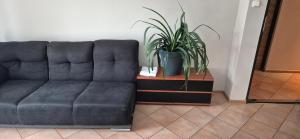 Lotta autobus na targi MTP, darmowy parking, samodzielny meldunek