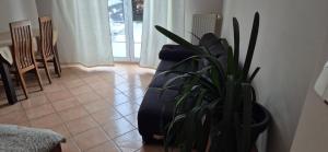 Lotta autobus na targi MTP, darmowy parking, samodzielny meldunek