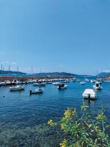 Le Mas de la Palmeraie - Studio dans propriété privée au calme avec piscine et tennis