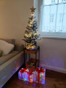 Riva Residence in Old Town Ljubljana by the Cobblers Bridge