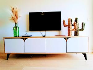 Cozy & Terrace Apartament5