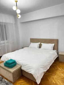 Spacious Central Apartment Craiova 3 Bedroom