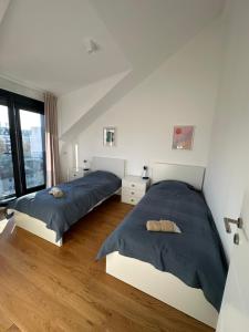 Apartment 6 Belgrade