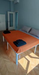 Cozy & Contemporary 2 bdrm 1 bthrm APT in Città Studi