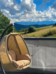 Willa Pienińska 123