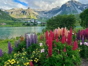 T2 Sud ski au pied, balcon, TV, linge inclus - FR-1-449-92