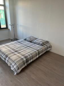 Homeday Joffre haguenau 1