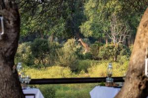 Karongwe - Becks Safari Lodge