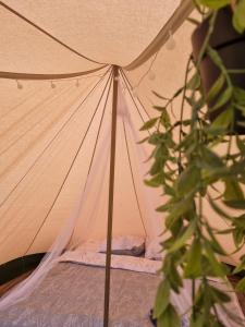 Camping Ont Moeten - Eindeloos