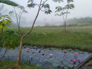 Baan Suan Jantra Home Stay