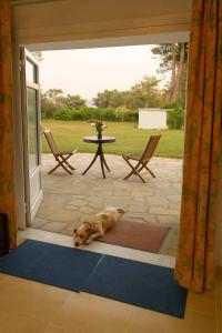 Thassos Cozy Nests - Escape Amidst Greenery