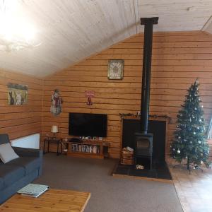 Deer Cabin-hot tub-dog friendly-mountain view