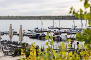Ferienwohnung Wellenklang Hainer See