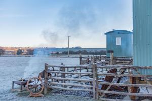 Rumwold by Bloom Stays