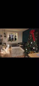 Dovolenkovy dom s terasou