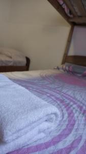 Matices Hostel Centro