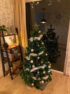 Luxury bungalow Woldzicht