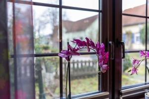 Ferienhaus Am Reiterhof