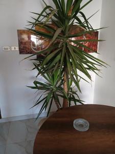 المنطقه الحره الفندقيه بمدينه نصر