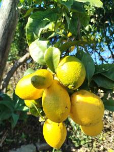 Chambres dHôtes La Casa Losa