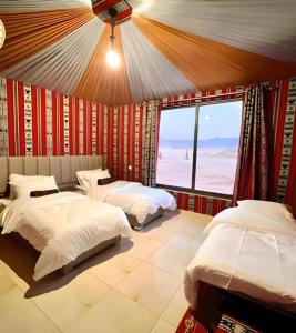 Rolx wadi rum