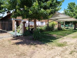 Los Lirios de Dayman