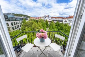 Spacious central apartment in the heart of Smichov