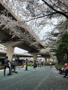 Bueno Day - Near Hongdae & Historic Sites