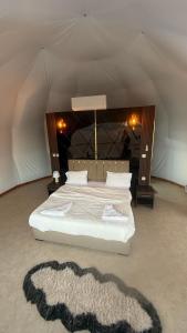 WADI RUM STAR LOTE LUXURY CAMp & BUBBLES ROOM