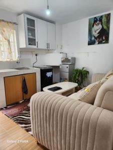 Victoria Homes at Trinity Gardens