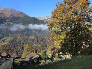 Apartment Primula Apt- B by Interhome