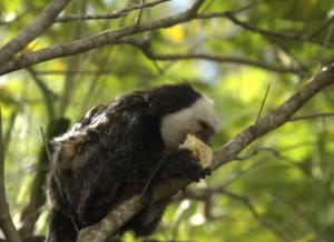 Disfruta tu dormitorio a 100 mts de la playa
