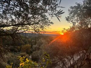 Aix-en-Provence, Bastidon provençal plein cœur de la forêt avec vue unique