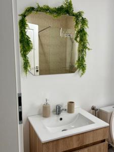 Signature Studio Arad