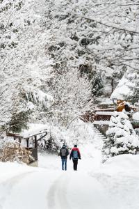 Apartmán SKIBIKE, Hrabovo