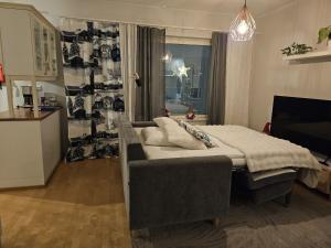 Top-Floor Apartment with Sauna and Free Parking near City Center