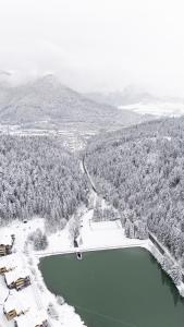 Malino Resort & Residences - Chalets