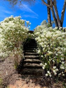 Chácara Aconchegante Vista Linda com Roupa de Cama