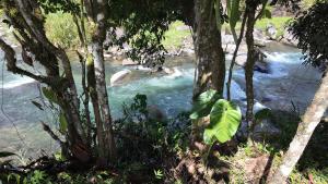 ALes Casita Rustica del Rio Chirripo, Chimirol de Rivas