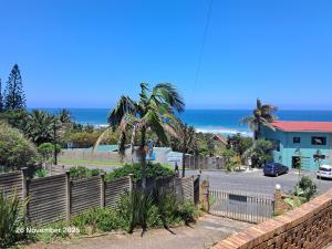 Surf and Sand - Albatross