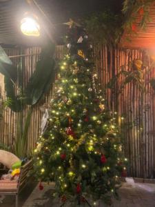 tam coc Big Jont gest house