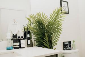 Two Bedroom Apartment near Downtown Boston with Pool, Gym, and Free Parking