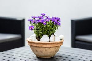 Bükkös Liget Apartman