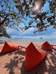 Dojo poolvilla beach resort - private beach villa-